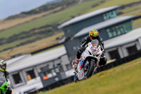 PJ-Motorsport-2019;anglesey-no-limits-trackday;anglesey-photographs;anglesey-trackday-photographs;enduro-digital-images;event-digital-images;eventdigitalimages;no-limits-trackdays;peter-wileman-photography;racing-digital-images;trac-mon;trackday-digital-images;trackday-photos;ty-croes